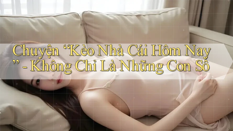 Chuyện “Kèo Nhà Cái Hôm Nay” - Không Chỉ Là Những Con Số