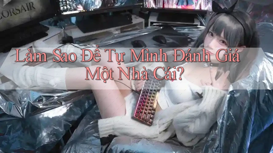 Làm sao để tự mình đánh giá một nhà cái? Làm sao để tự mình đánh giá một nhà cái?