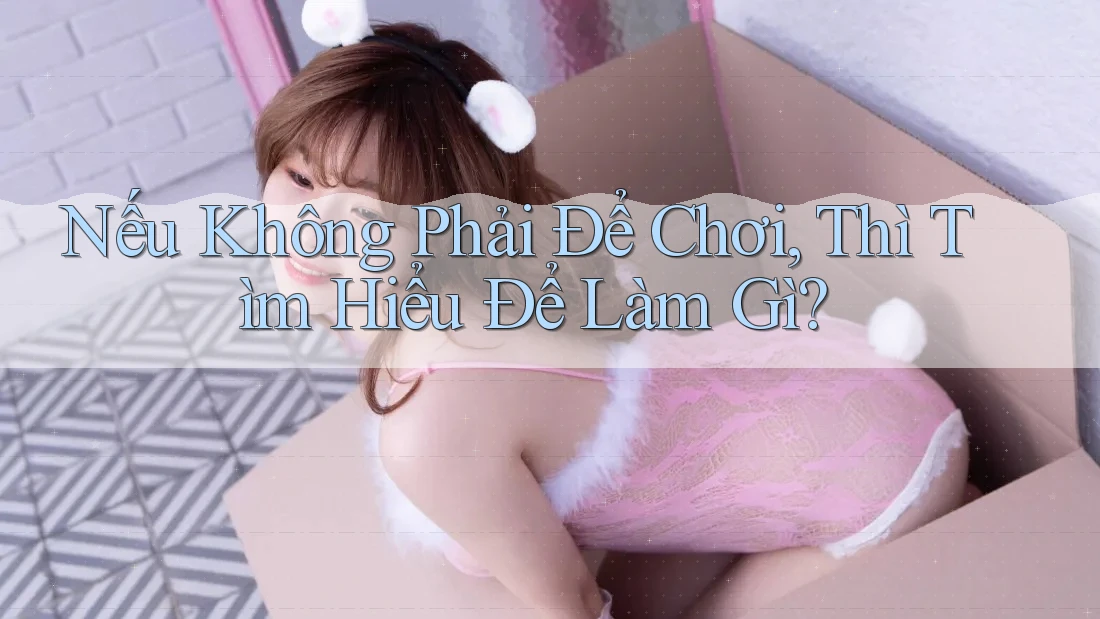 Nếu không phải để chơi, thì tìm hiểu để làm gì? Nếu không phải để chơi, thì tìm hiểu để làm gì?