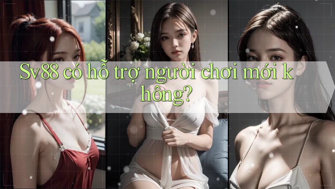 Sv88 có hỗ trợ người chơi mới không? Sv88 có hỗ trợ người chơi mới không?