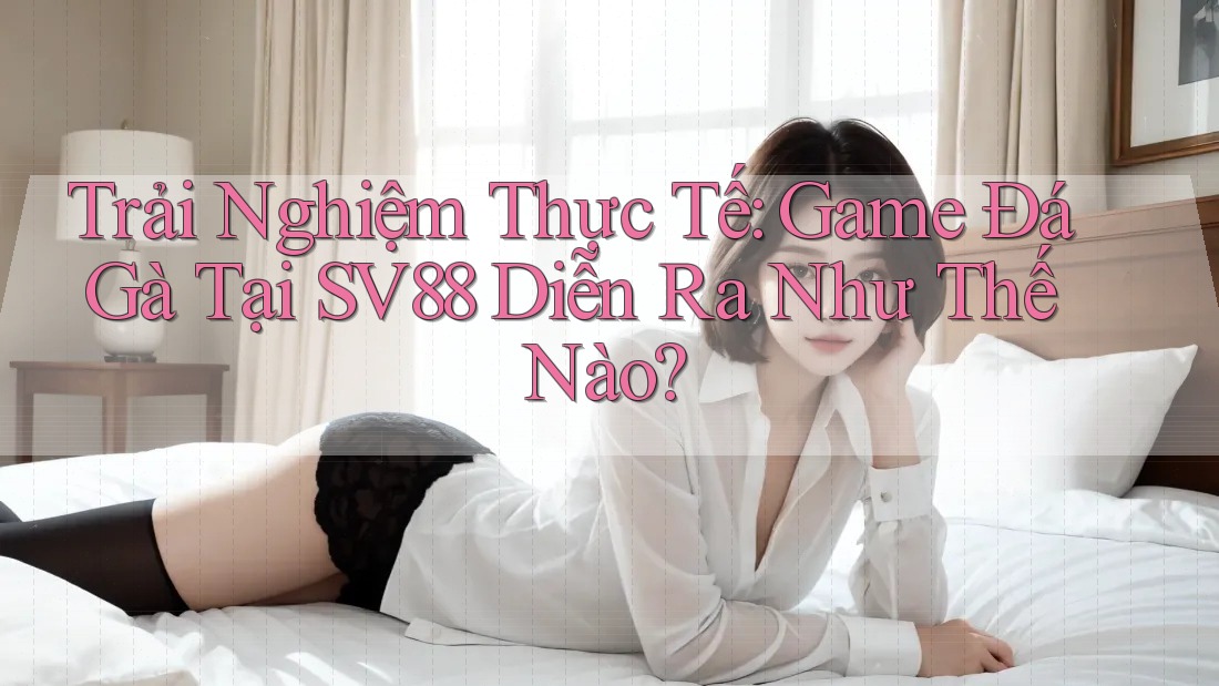 Trải Nghiệm Thực Tế: Game Đá Gà Tại SV88 Diễn Ra Như Thế Nào?